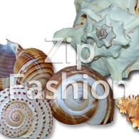 philippines sea shells or raw shells