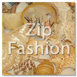 zip fashion raw shells shell specimens
